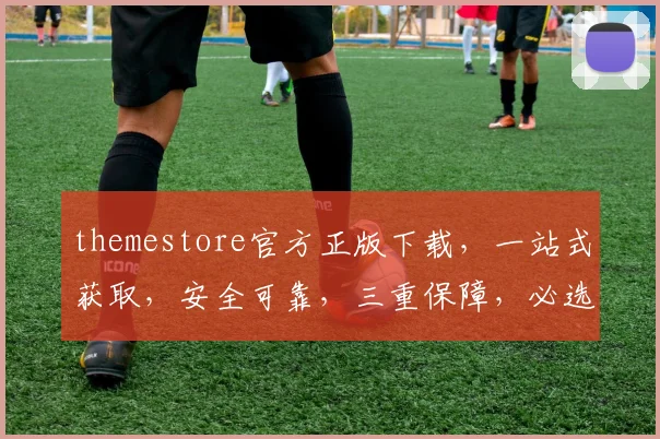 themestore官方正版下载，一站式获取，安全可靠，三重保障，必选首选
