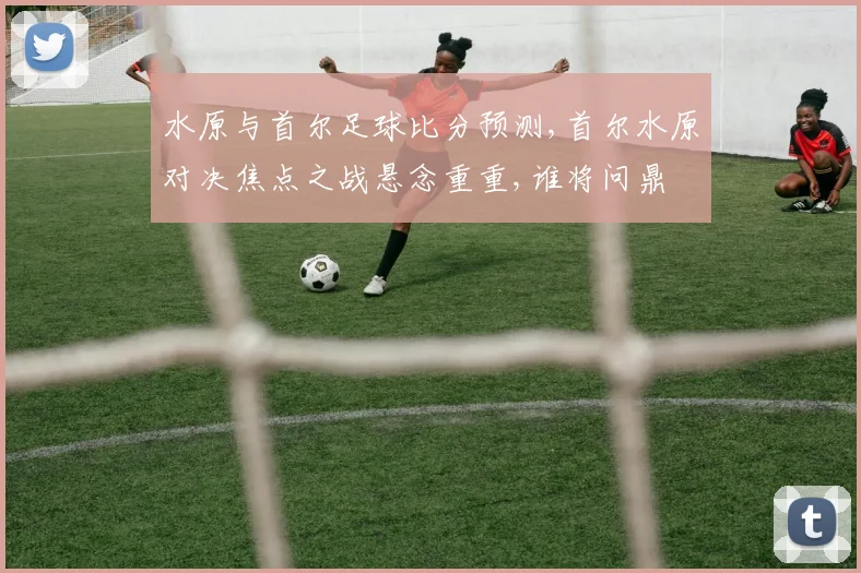 水原与首尔足球比分预测,首尔水原对决焦点之战悬念重重,谁将问鼎