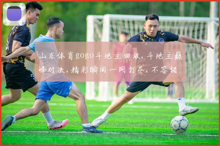 山东体育gogo斗地主回放,斗地主巅峰对决,精彩瞬间一网打尽,不容错过